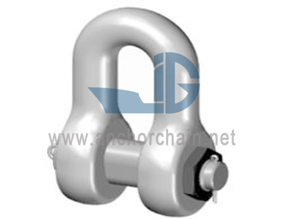 D15 Dee Safety Pin Shackle အမျိုးအစား